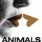 Hayvanlar fragman izle